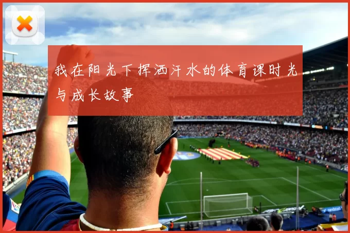 我在阳光下挥洒汗水的体育课时光与成长故事