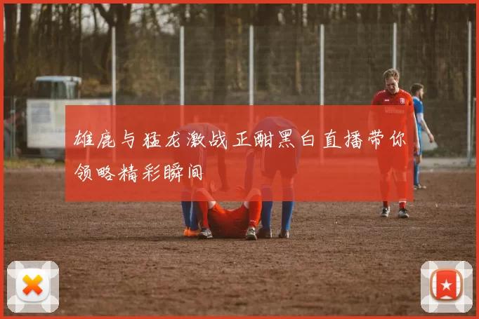 雄鹿与猛龙激战正酣黑白直播带你领略精彩瞬间