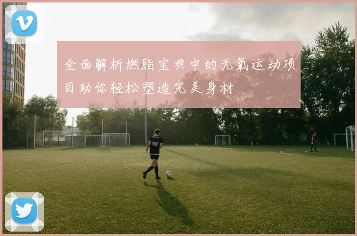 全面解析燃脂宝典中的无氧运动项目助你轻松塑造完美身材