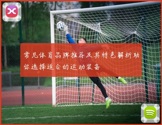 常见体育品牌推荐及其特色解析助你选择适合的运动装备