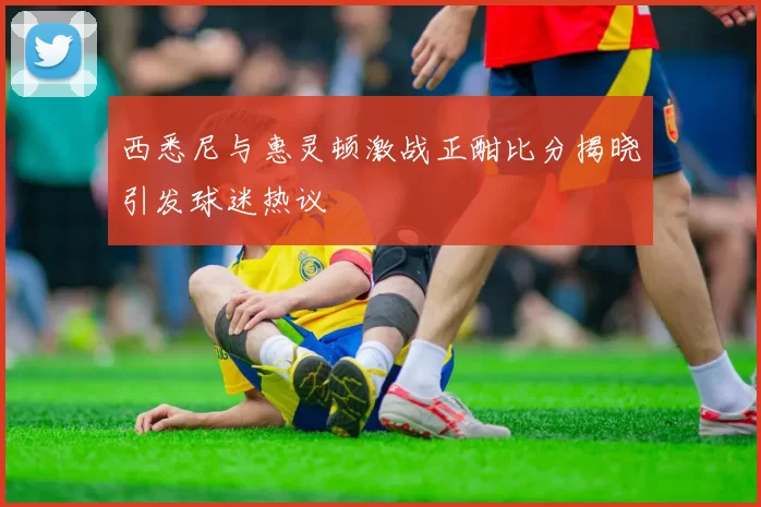 西悉尼与惠灵顿激战正酣比分揭晓引发球迷热议