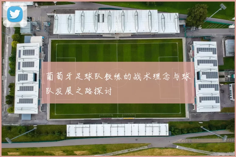 葡萄牙足球队教练的战术理念与球队发展之路探讨