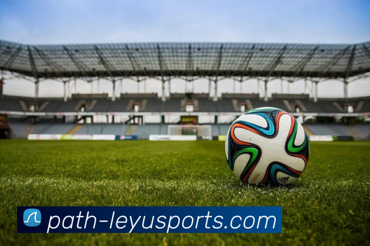 乐鱼网站平台生态图